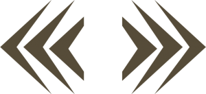 two arrows@4x